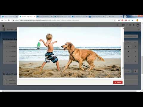 Einstein Api Dashboard