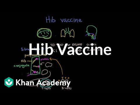 Hib vaccine | Respiratory system diseases | NCLEX-RN | Khan Academy