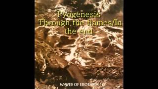 Pyogenesis Through the flames/In the end Lyrics in description