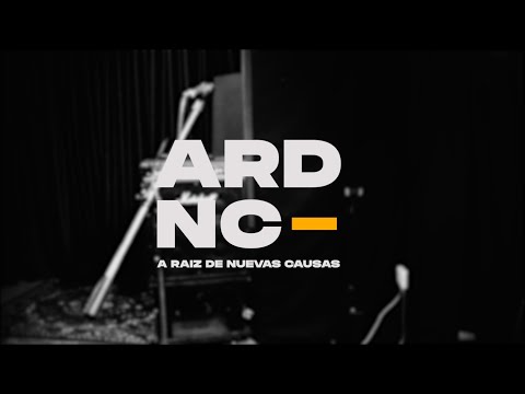 A RAÍZ DE NUEVAS CAUSAS - LIVE SESSION