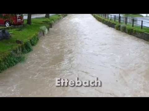 Zaisenhausen bei Mistwetter