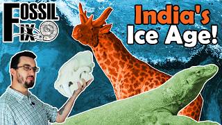 Exploring India's Ice Age!