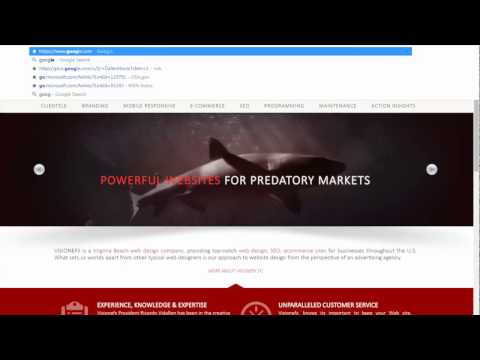 VISIONEFX video.