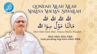 Download lagu Qosidah Allah Allah Malana Maulan Siwallah (Lengkap Lirik & Terjemahan) mp3