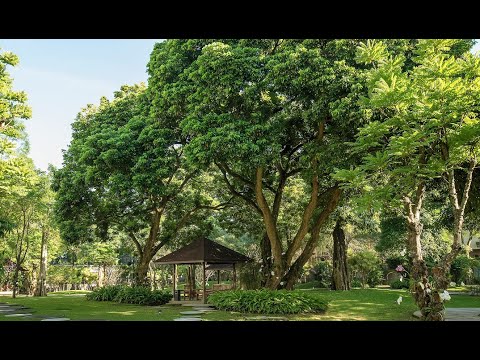 (Tour virtual 360) Jardim Real - Royal Ambarrukmo Yogyakarta