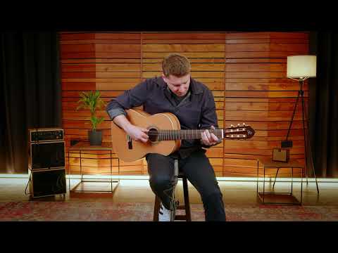 Ortega R20GSNRG Traditional Series Solid Cedar Top Mahogany Neck Nylon 6-String Classical Acoustic Guitar w/Gig Bag image 24