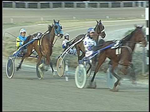 Trotto 03/02/2017 - 4ª corsa