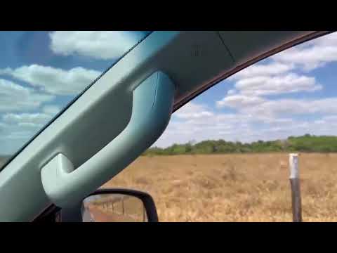 GH Fazendas, Bonópolis - GO