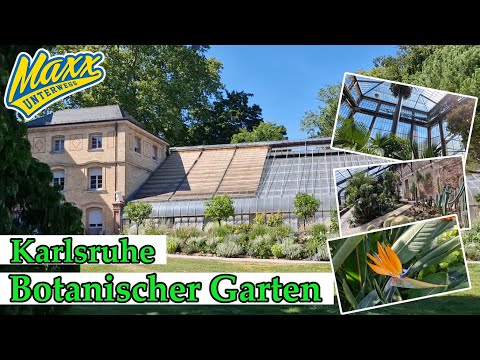 Botanischer Garten Karlsruhe | Rundgang durch die Gewächshäuser | 2022