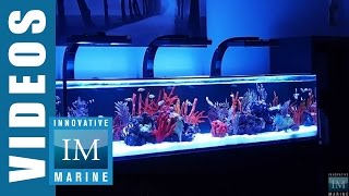 IM Nuvo Aquarium 60, 80 & 120