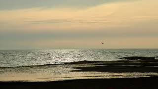 Lachrimae Pavan − John Dowland: So Hiraoka