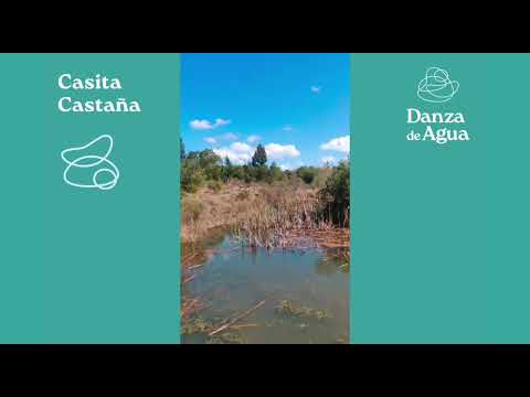 Danza de Agua_ GLAMPING_ Casa Castaña - Sierras de Aigua - Maldonado