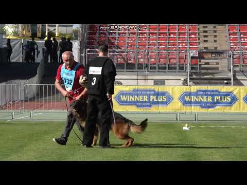 1132 Zip del Murnighello - TSB BSZS-2023 - vorhanden läßt ab