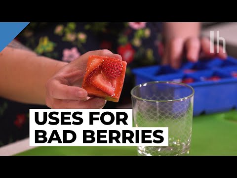 3 Ways To Use Bruised Strawberries | Eating Trash