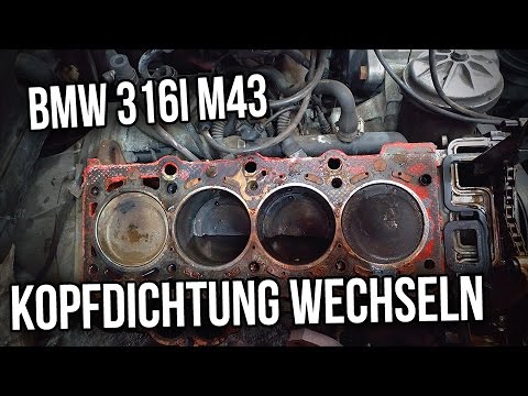BMW E36 | 316i 318i | M43 -  Kopfdichtung wechseln
