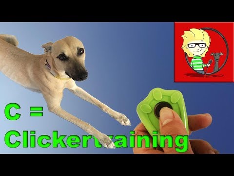 C - Clickertraining für Hunde - wie geht das - wozu es taugt und wozu nicht!