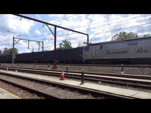 Double MZ's with Qube box grain - 9/12/15