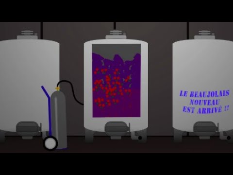 Carbonic Maceration: A Brief Overview