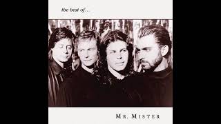 Mr. Mister - 04 - Waiting In My Dreams.MP3.