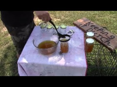 Collecting Liquid Gold THE POOR MANS WAY!?! Extracting Honey From A Frame