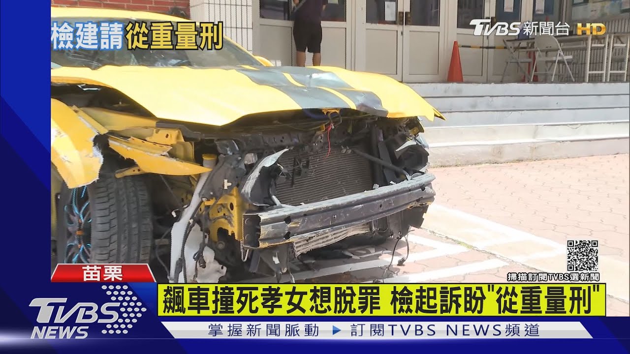 野馬男脫罪失敗! 檢方駁精神鑑定公共危險致死起訴