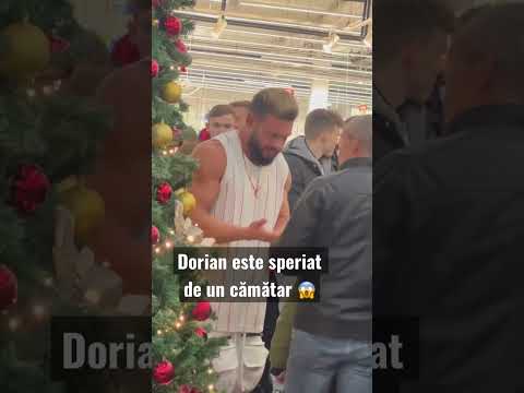 Dorian este speriat de un interlop când face poze 😱🥊🤣 #timisoara #dorianpopa #cluj #bucuresti