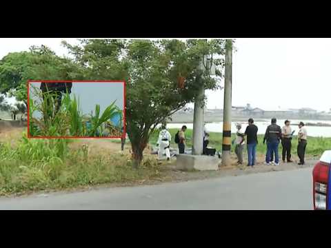 Hallan 8 cuerpos ensacados en vía Juján-Babahoyo, Los Ríos