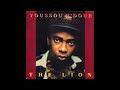 Youssou N'Dour - The Truth 