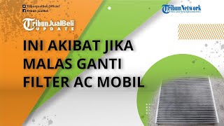 Ini Risiko Filter Penyaring Udara AC Mobil Malas Diganti, Komponen Ini Bisa Jadi Cepat Kotor