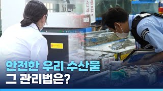 (해양수산부 어서오션TV) 안전한 우리 수산물, 그 관리법은?