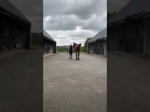 Video 2