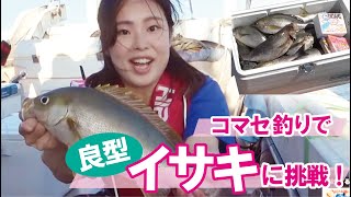 コマセ釣りで良型イサキに挑戦！／船釣り