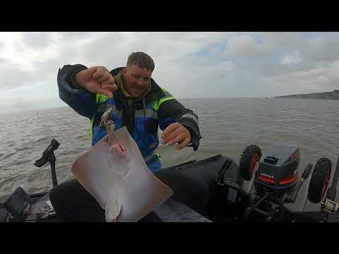 SIB FISHING UK EPIC SESSION