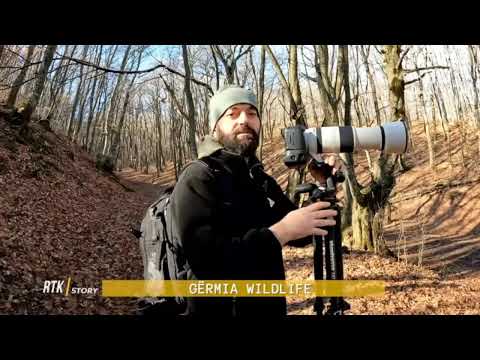 RTK Story - GËRMIA WILDLIFE 08.03.2022