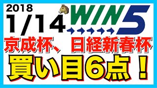 【驚異の買い目6点!!】WIN5 2018.1/14 重賞 G3京成杯 G2日経新春杯 競馬予想