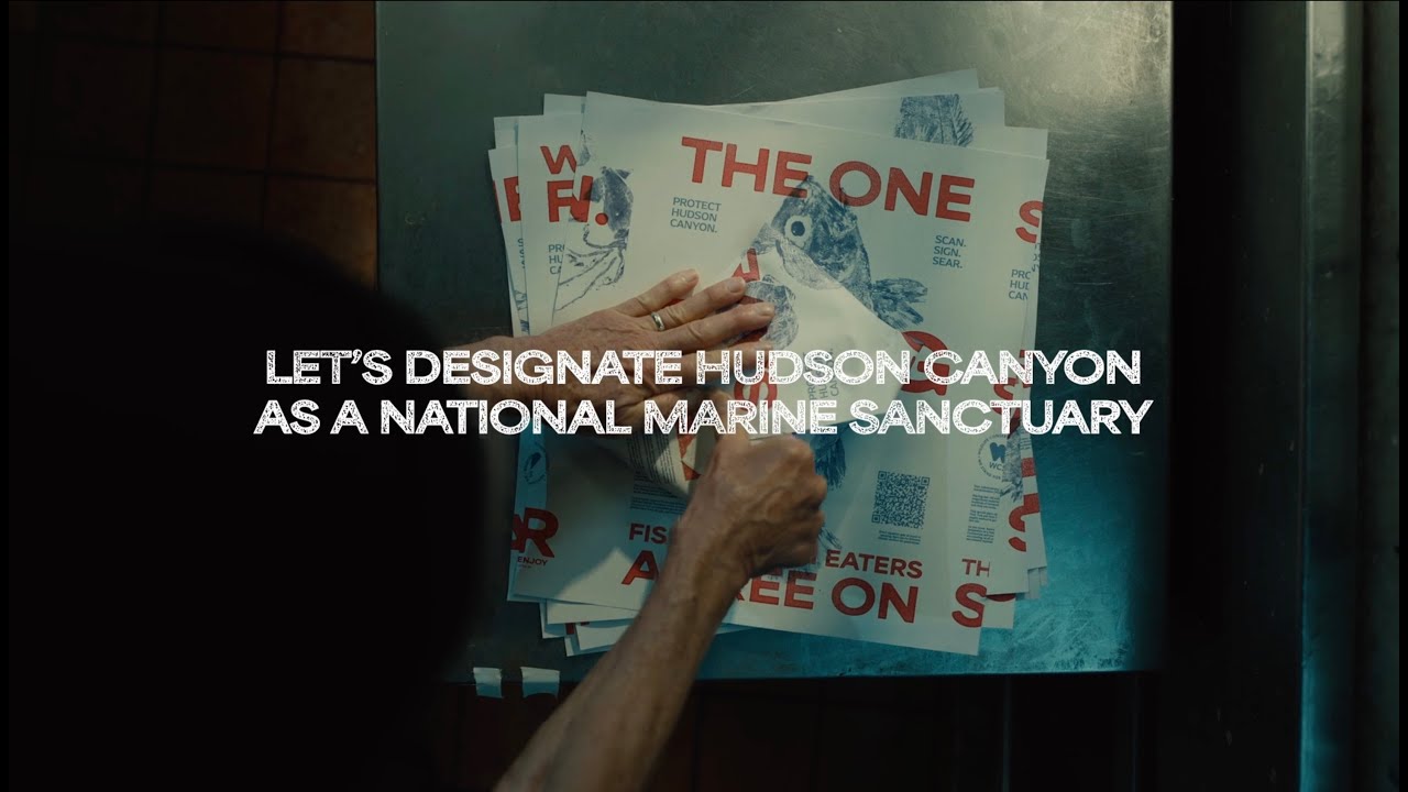 The Petition Paper: Save It For Dinner