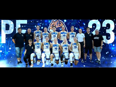 Veselé Vánoce Levhartice a Levharti