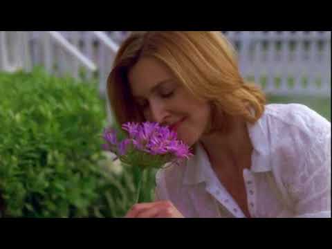 my name is Alice Young