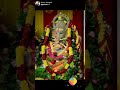 Vinayakar Status