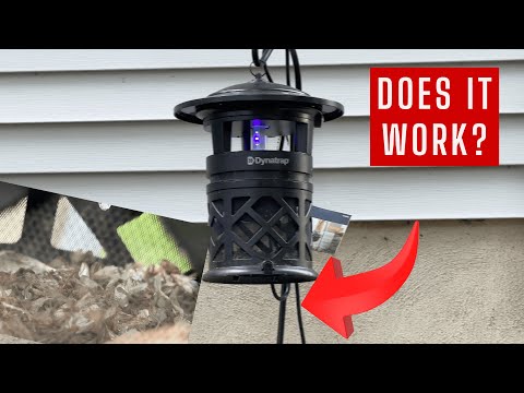 Dynatrap mosquito Trap Review - Does it work?