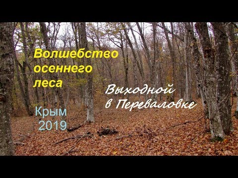 Крым, Судак, Выходной на природе. Листопад и волшебство осеннего леса
