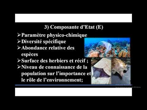 MSProadmap / CAMEROUN - Présentation d'Eddy Nnanga