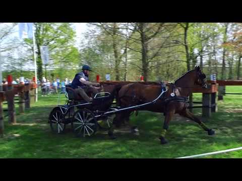 Fahrturnier Wettringen 22.4.2018