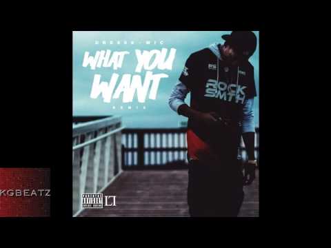 Dre808 ft MIC   What You Want (Remix)
