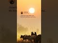 Tenu Itna Main Pyar Kara Har Sau Baat Kara WhatsApp Status