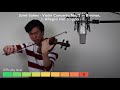 12 Levels of Violin Playing