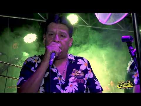 TRAICIONERA - FELIZ 17° ANIVERSARIO "LOS ELEGANTES DE LA CUMBIA"