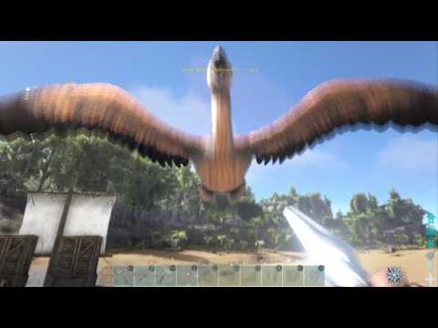 ARK: Survival Evolved - Funny Bird Kill