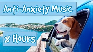 8HoursofMusicforAnxiousDogs-MusictohelpwithSeparationAnxietyandNervousDogs🐶