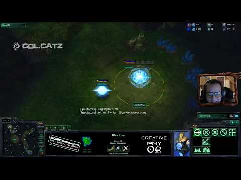 CatZ, Destiny, iNcontroL, CombatEX, and Major on Skype